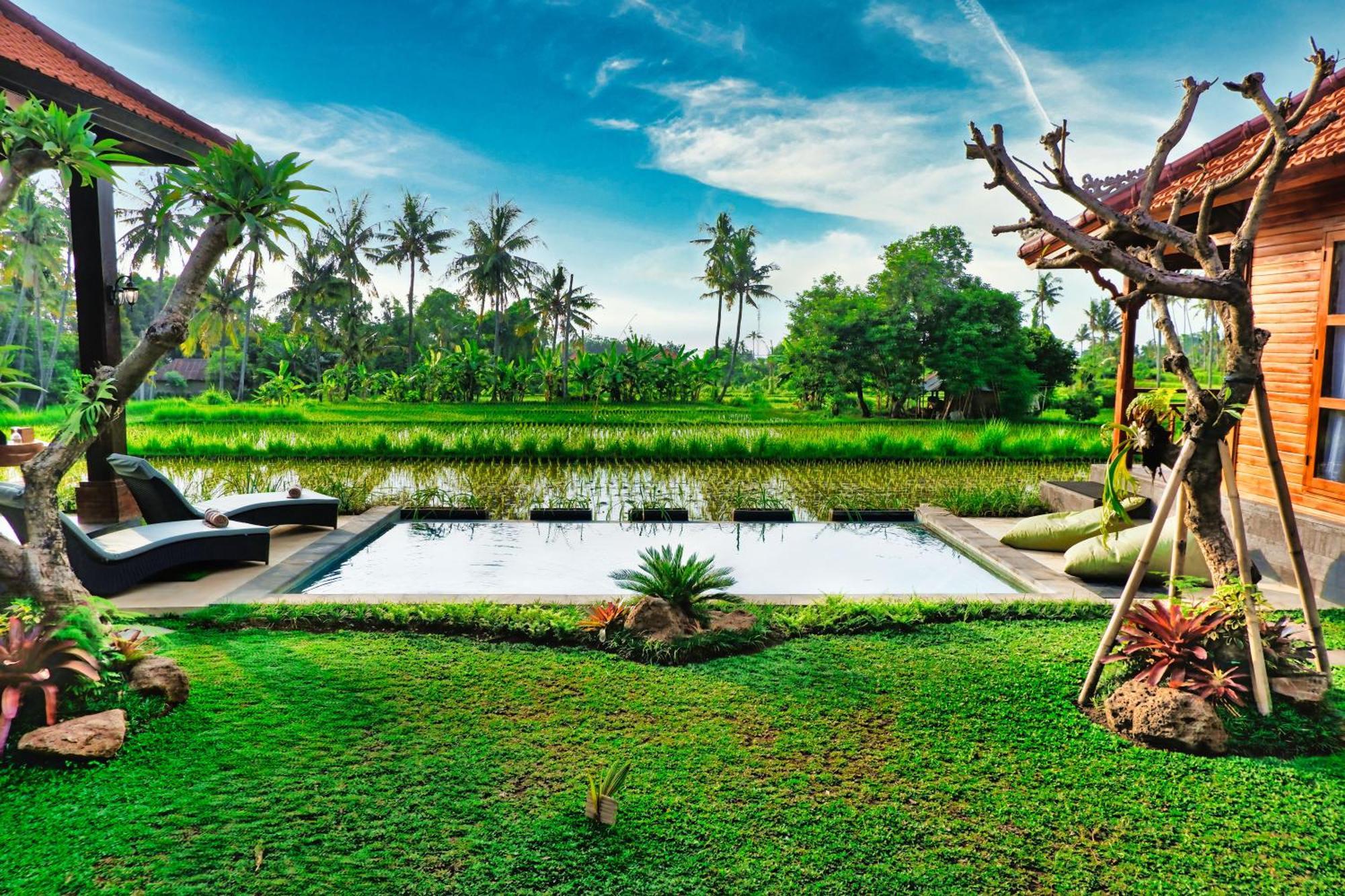 Dapha Eco Lodge Lovina Sukasadel Exterior photo